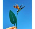 Strelitzia in legno dipinta a mano – Fiore Eterno Invernale | Decorazione elegante artigianale
