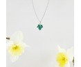 Collana Mini Edera - Continuità e Fedeltà