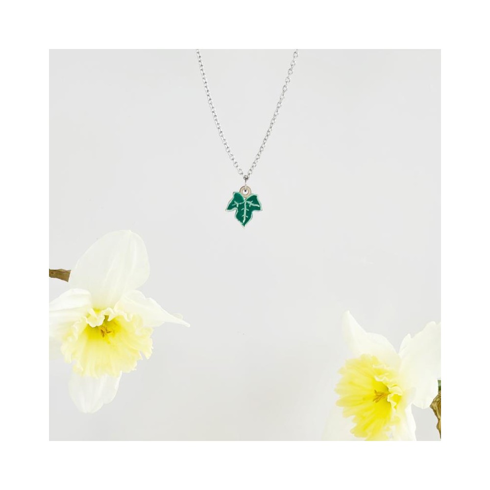 Collana Mini Edera - Continuità e Fedeltà