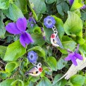 Orecchini Pendenti Ali e Petali: Simboli di Natura – Dipinti a mano con uccellini e fiori